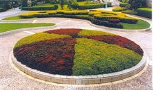 美丽的校园花坛_350字