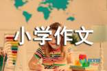 女儿，我想告诉你_600字