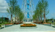 家乡的景物_450字