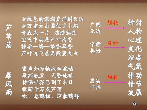 孤独的思考_800字