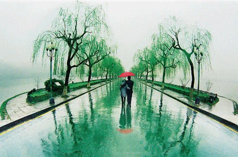 雨季，打开绿色雨伞_3000字