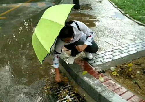 发现_650字周围的美丽