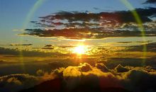 关于保护生态_800字