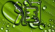 只要你能伸出一只手_900字