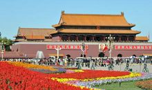 秋天的花坛_300字