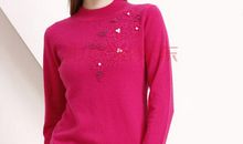 玲之恋·血泪玫瑰 第二章：火车上的奇异事件_1500字