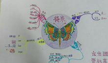 我看到的春天_600字