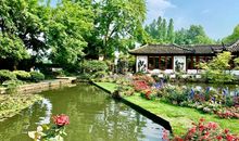 玲之恋·血泪玫瑰 第三章：窃取·隐居_2000字