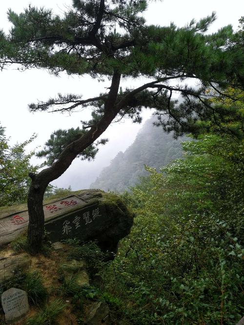 旅游山_450字