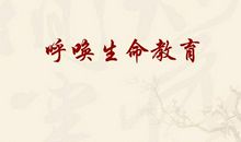 生命的呼唤_1200字