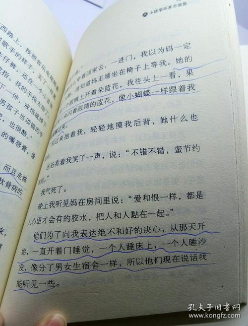 诗歌是感情的感受_350字