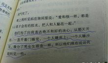 诗是感情的精灵_350字