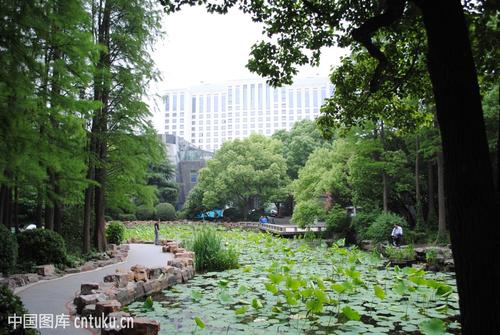人们的Park_300字
