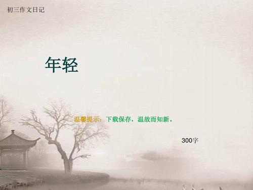 do ppt_300字