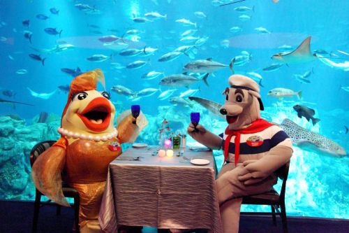 旅游香港海洋公园_750字