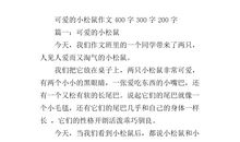 我的小松鼠_500字