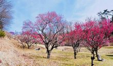 花开纸上，花落无痕_800字