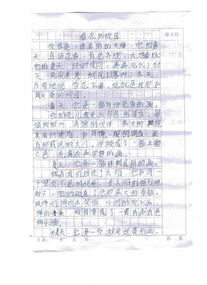 我的校园_400字