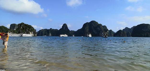 黑醋栗