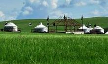 阿爸：假如我没见过曾经的草原——《狼图腾》读后感_700字