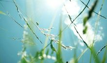 夏天，最美的季节_400字