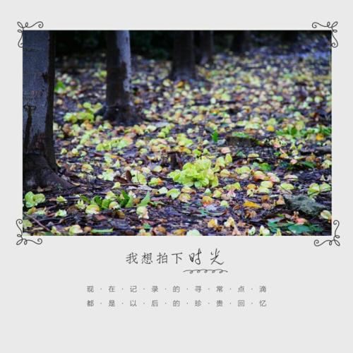 一天，秋雨_1200字