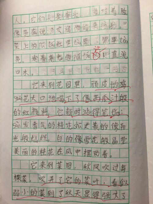 三年级写作组成：我最喜欢的季节_250字