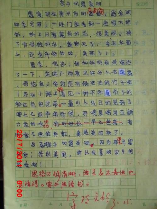 三年级写作组成：夜晚_250字