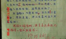 三年级写景作文：夜_250字