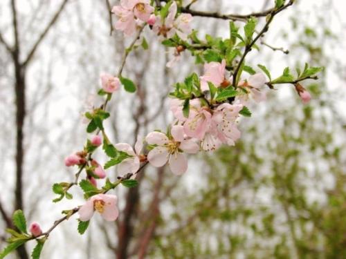 发现Spring _250字