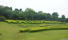 我爱青秀山_400字