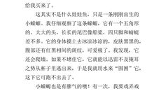 三年级写景作文：童年的乐园_500字