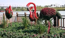 家乡的植物园_350字