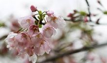 美丽的凤凰沟_300字