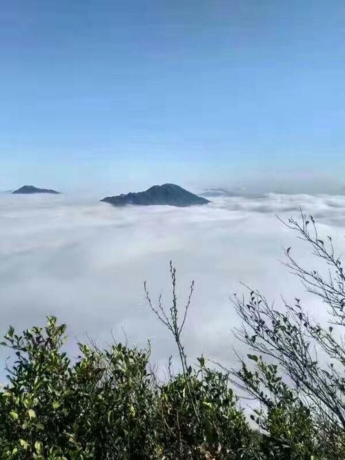 美丽的杨凌_350字