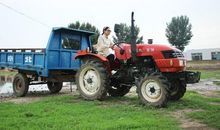 生命的重量_1000字