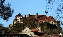 美丽的青岛我的家_750字