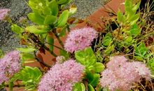 心怀敬畏，灵魂升华_900字