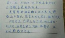 二年级期中考试作文：过中秋_300字