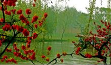 多彩的春天_500字