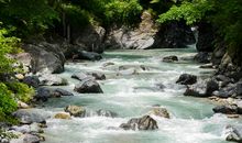 美丽的小溪_150字