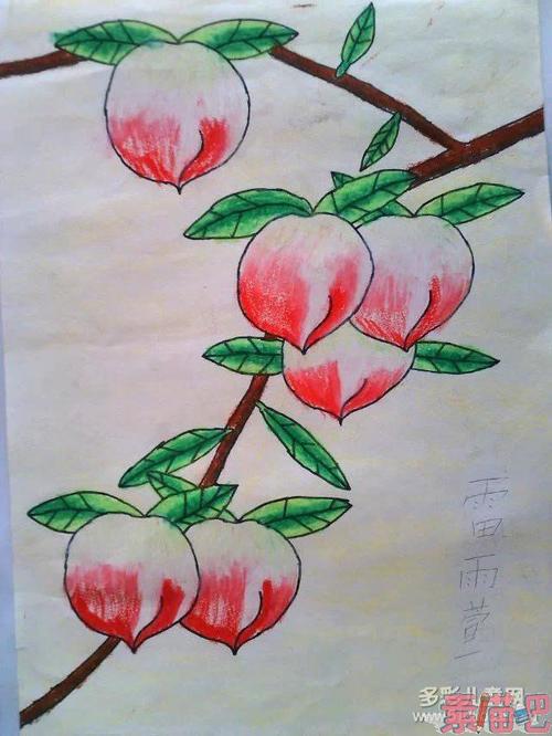 二级中等试验组成：制作桃_250字