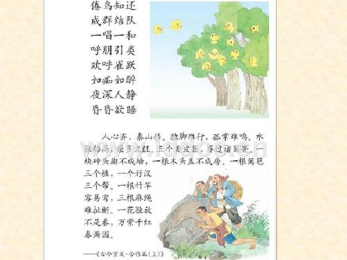 两只鸟_150字