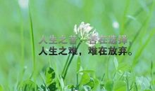 你的努力落地生花_550字