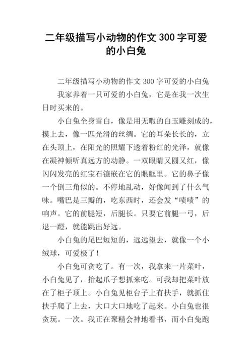 二级中等考试成分：可爱的小白兔_300字