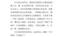 二年级期中考试作文：可爱的小白兔_300字