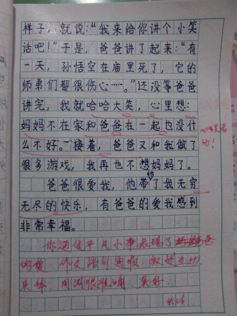 二级中等考试成分：研究洗鞋_300字