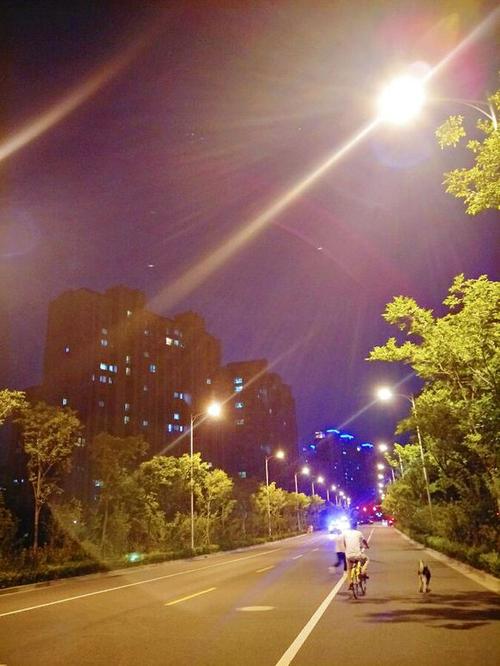 如何度过一个人的夜晚_800字