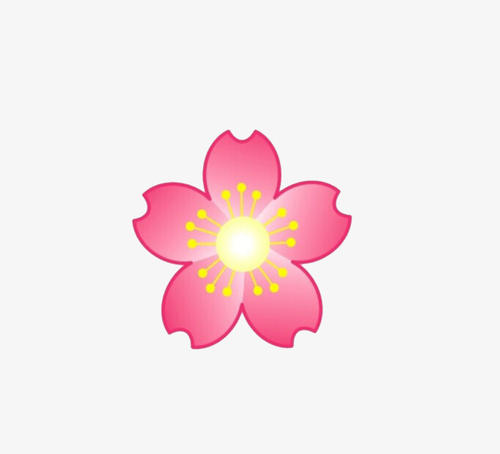 美丽的樱花_350字