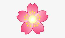 美丽的樱花_350字